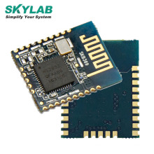 SKYLAB New Released High Quality Dual Band Bluetooth Module for IOT Gateway Chip nRF52832